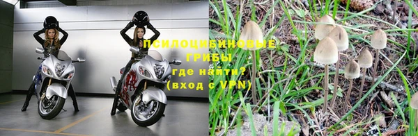 молекула духа Баксан