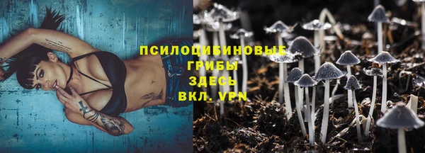 PSILOCYBIN Балахна