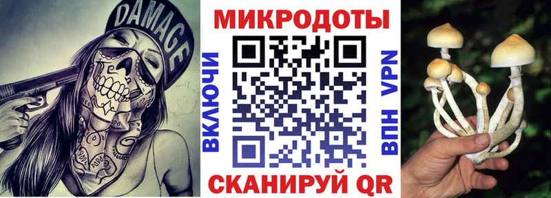 Купить Оханск Галлюциногенные грибы Psilocybine cubensis